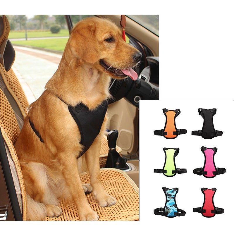 Pet Car Seat Belts