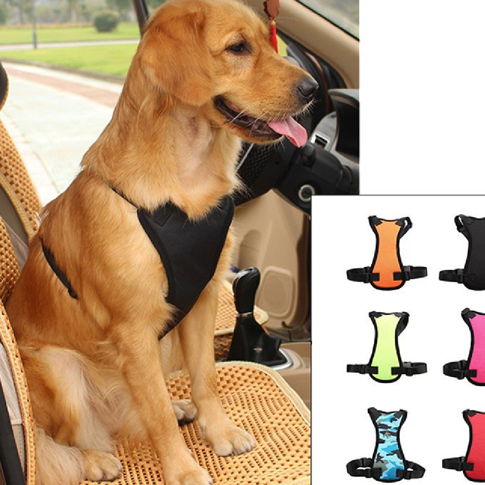 Pet Car Seat Belts