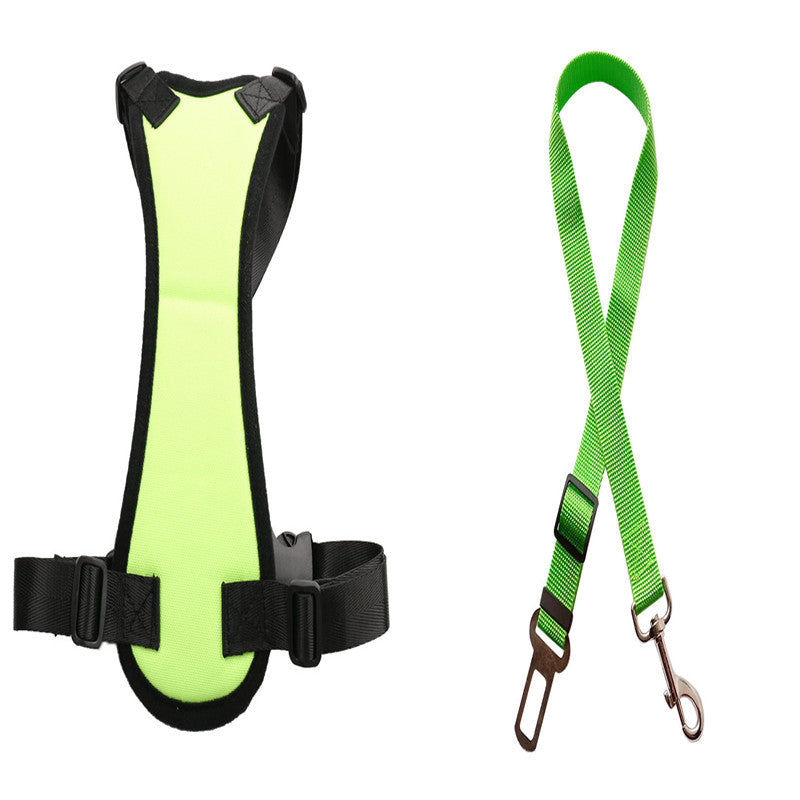 Pet Car Seat Belts