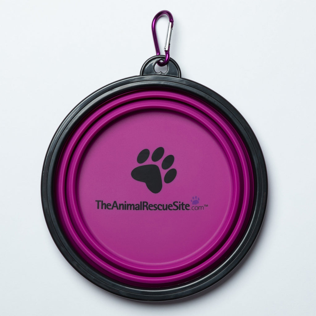 Collapsible Silicone Pet Bowl