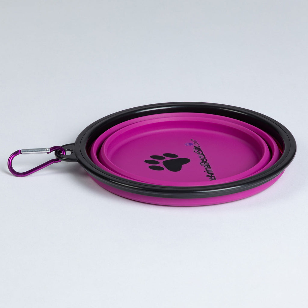 Collapsible Silicone Pet Bowl