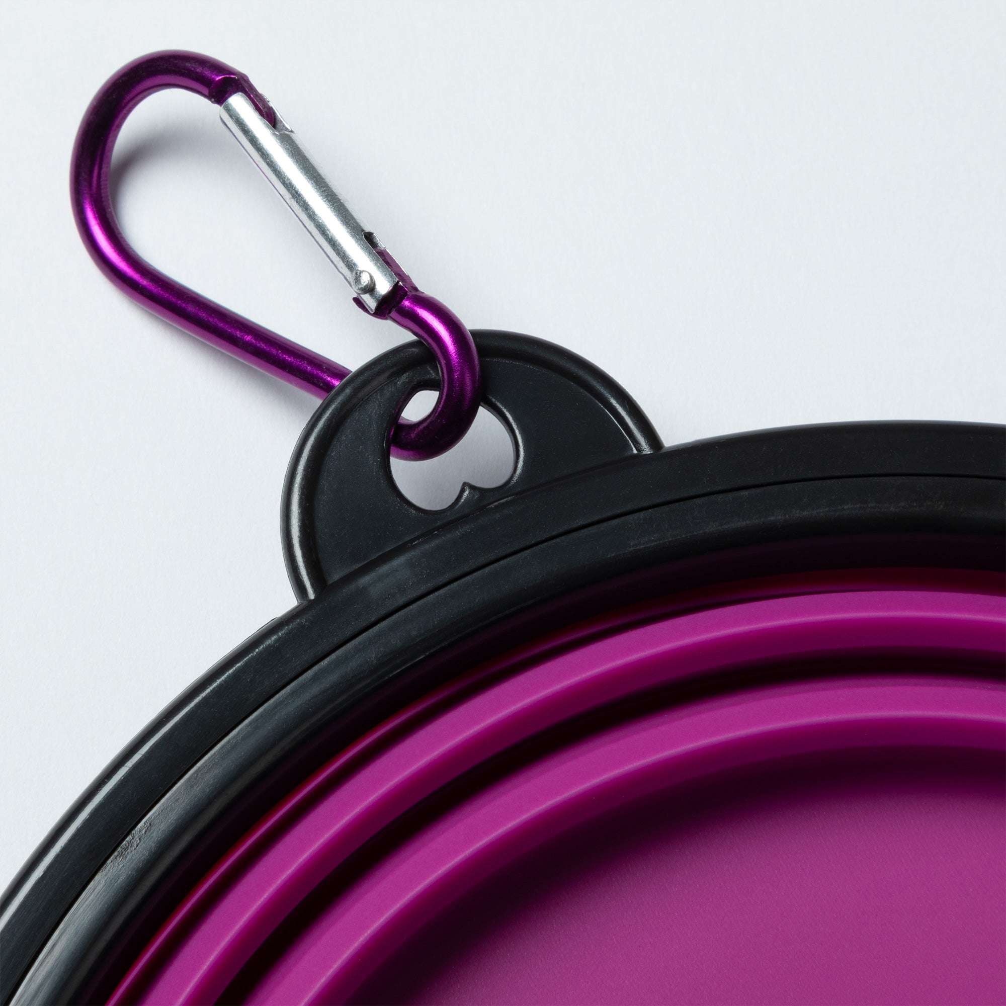 Collapsible Silicone Pet Bowl