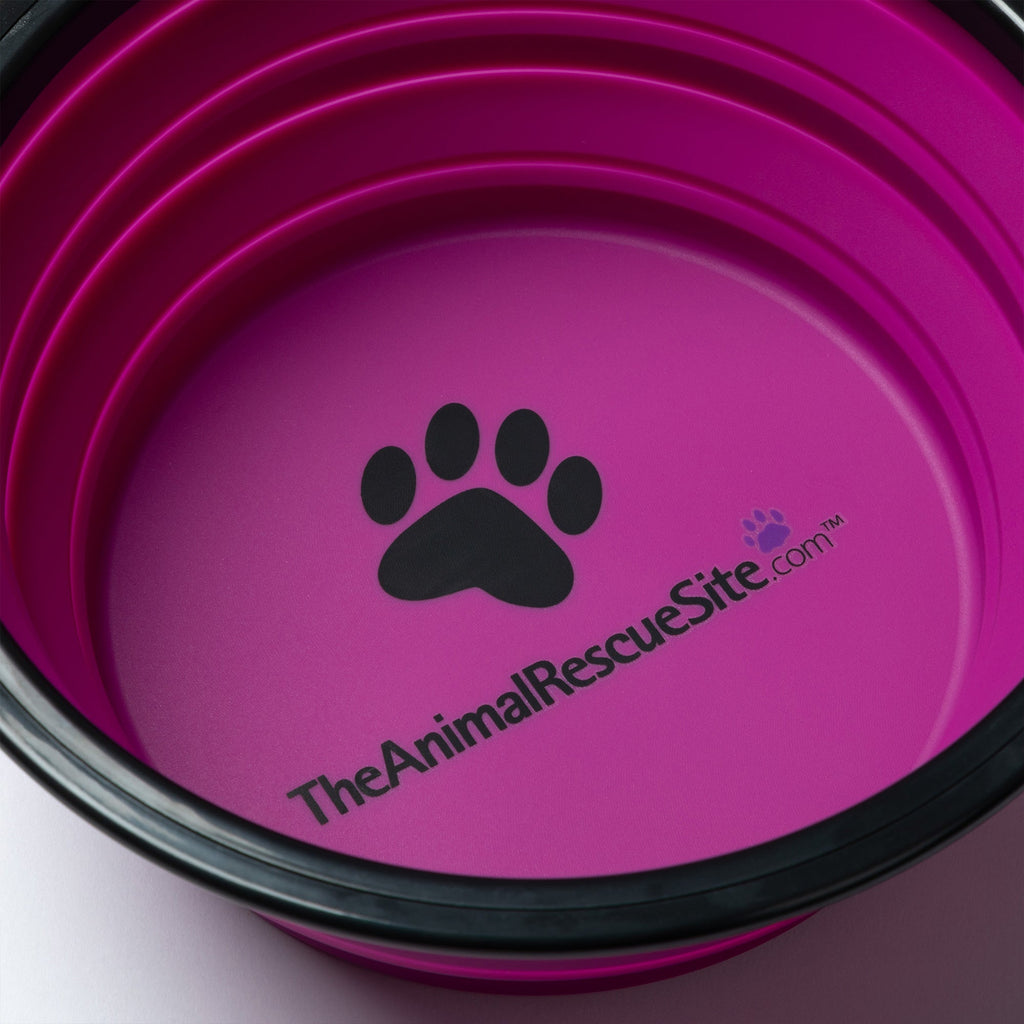 Collapsible Silicone Pet Bowl