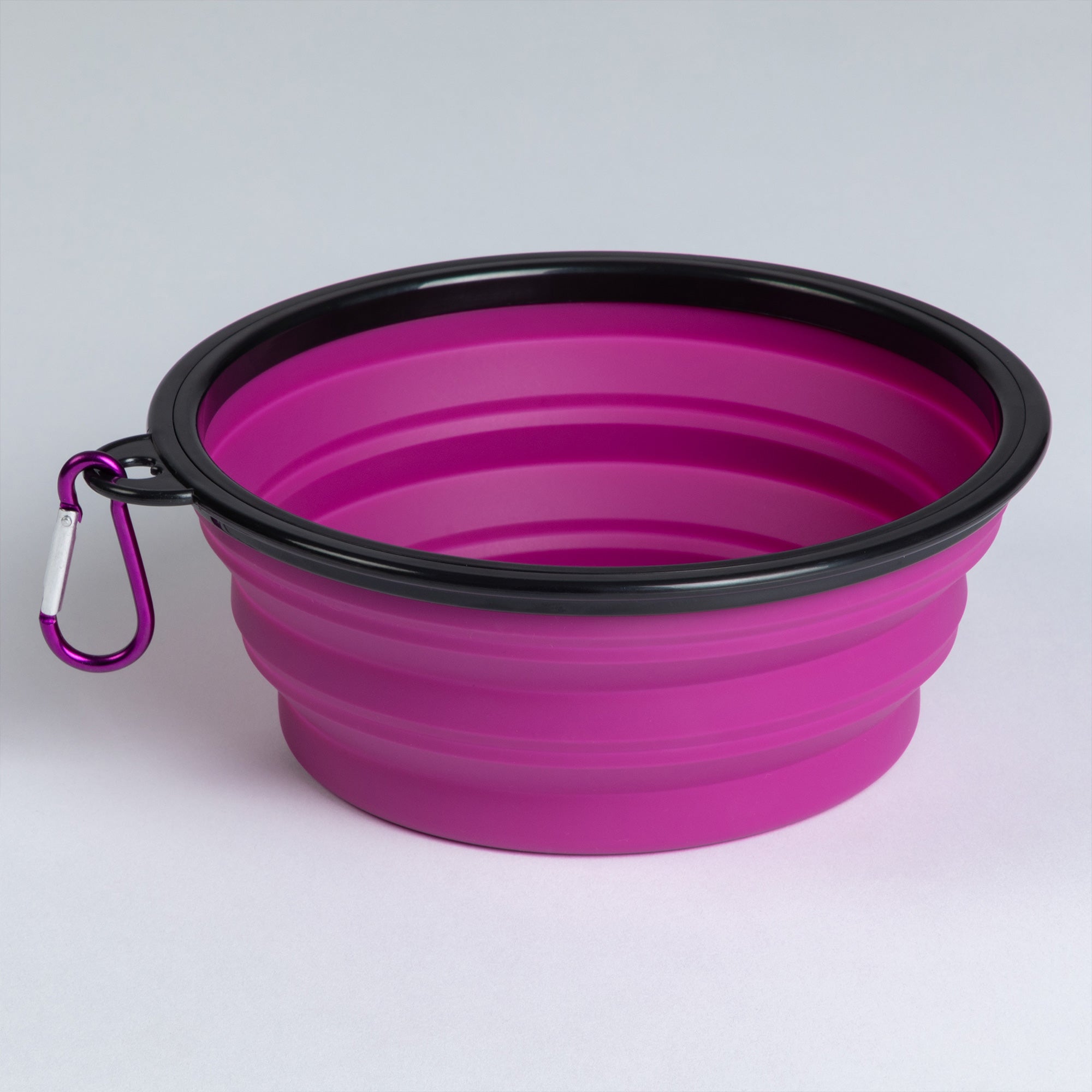 Collapsible Silicone Pet Bowl