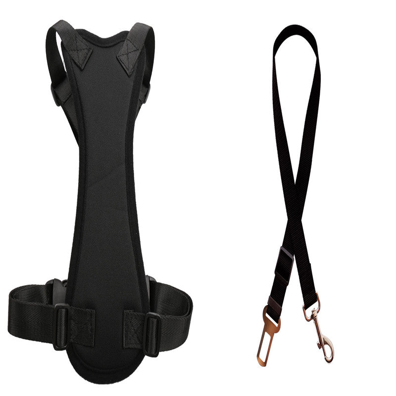 Pet Car Seat Belts