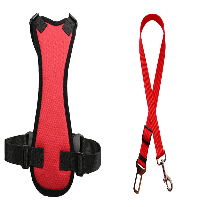 Pet Car Seat Belts