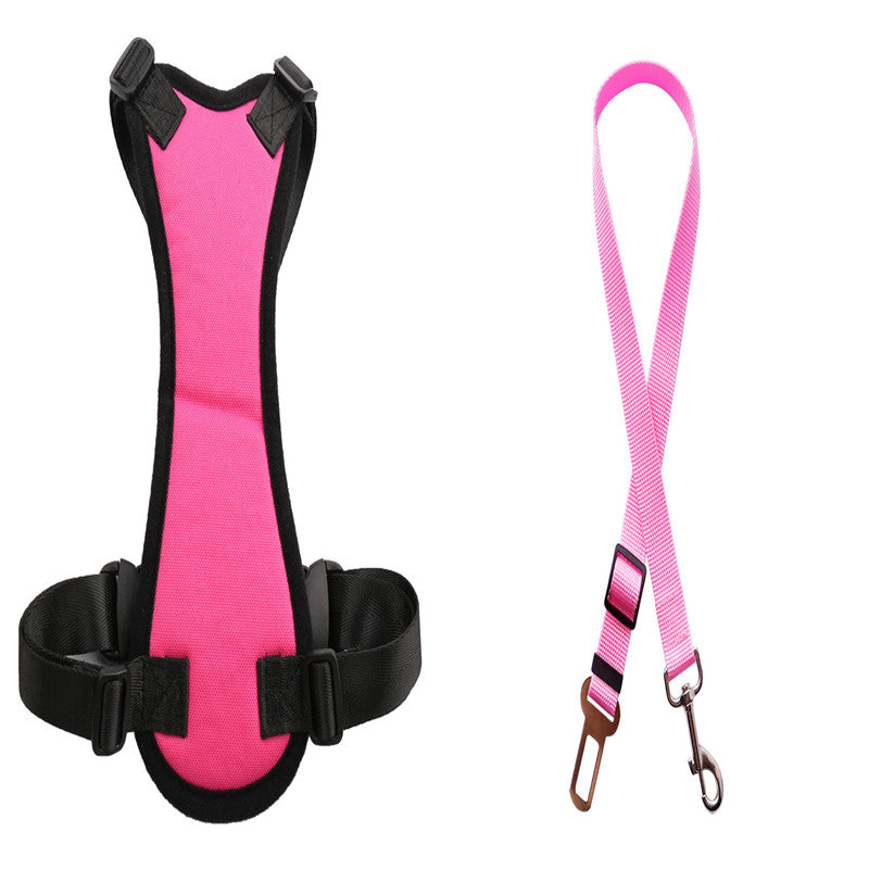 Pet Car Seat Belts